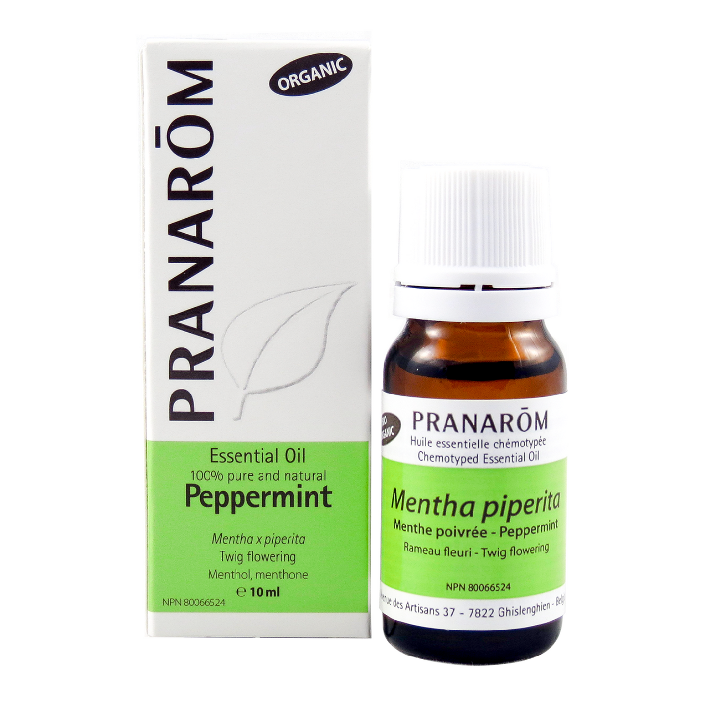 Peppermint (10ml)