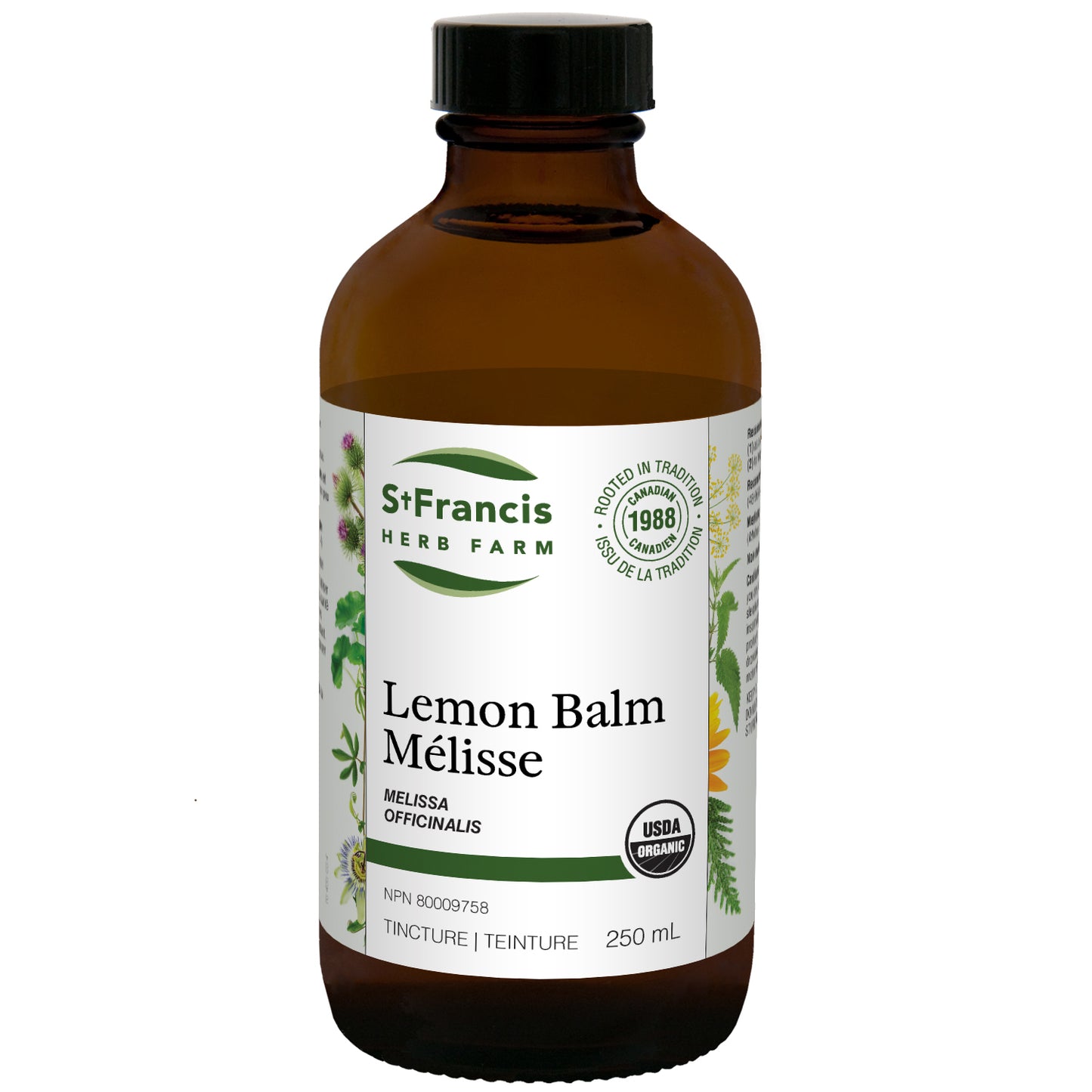 Lemon balm (250ml)