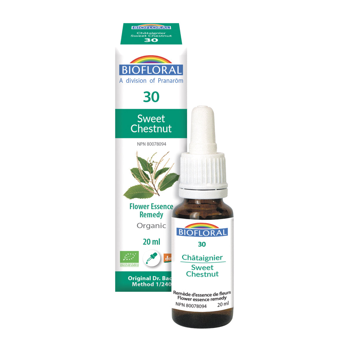 Sweet Chestnut (20ml)