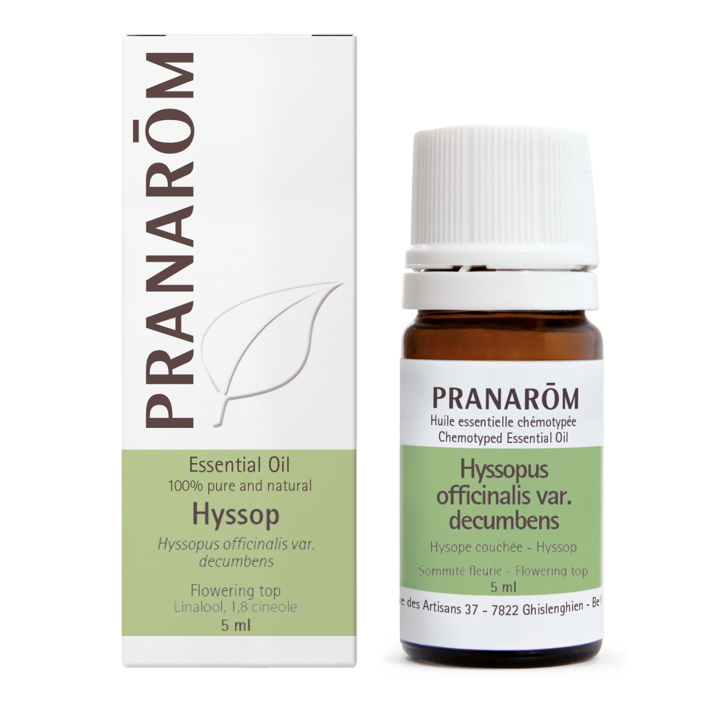 Creeping Hyssop - Flowering Top (5ml)
