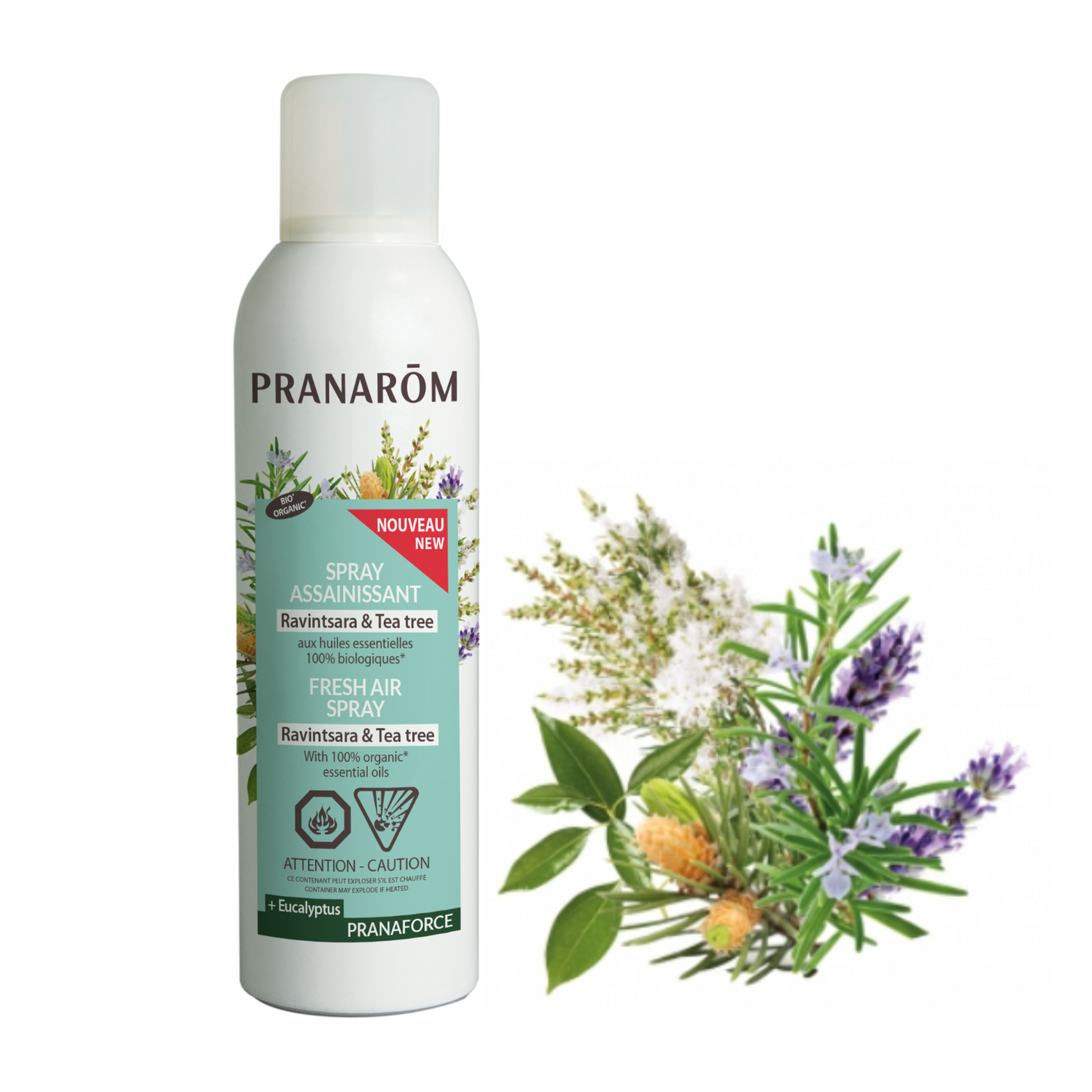Ravintsara Tea Tree Spray (150ml)