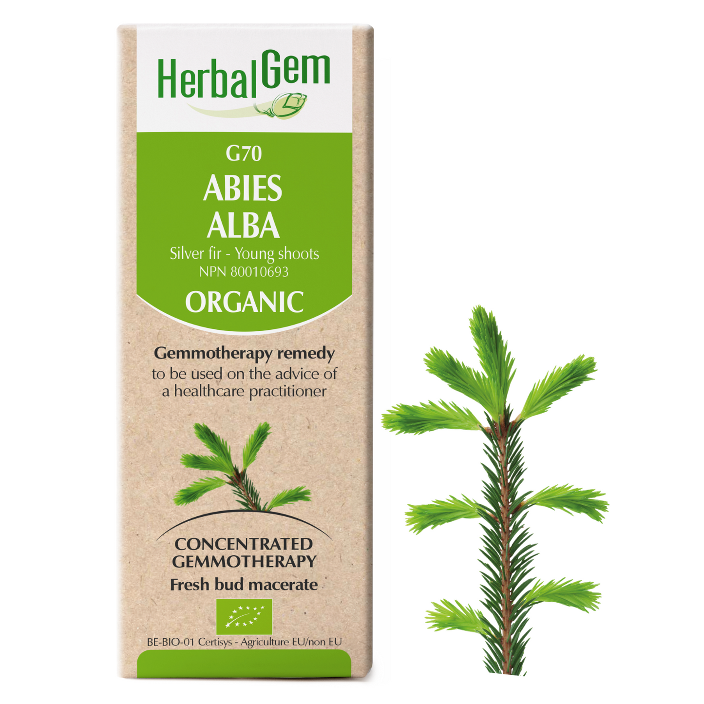Fir (50ml)