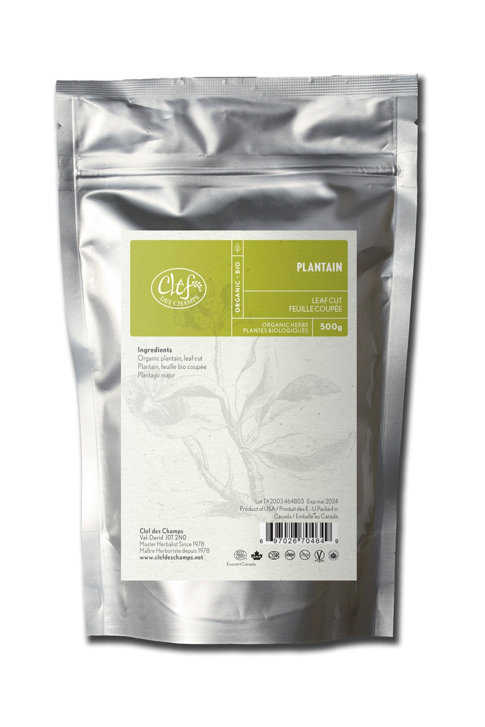 Common Plantain Bulk (500g)