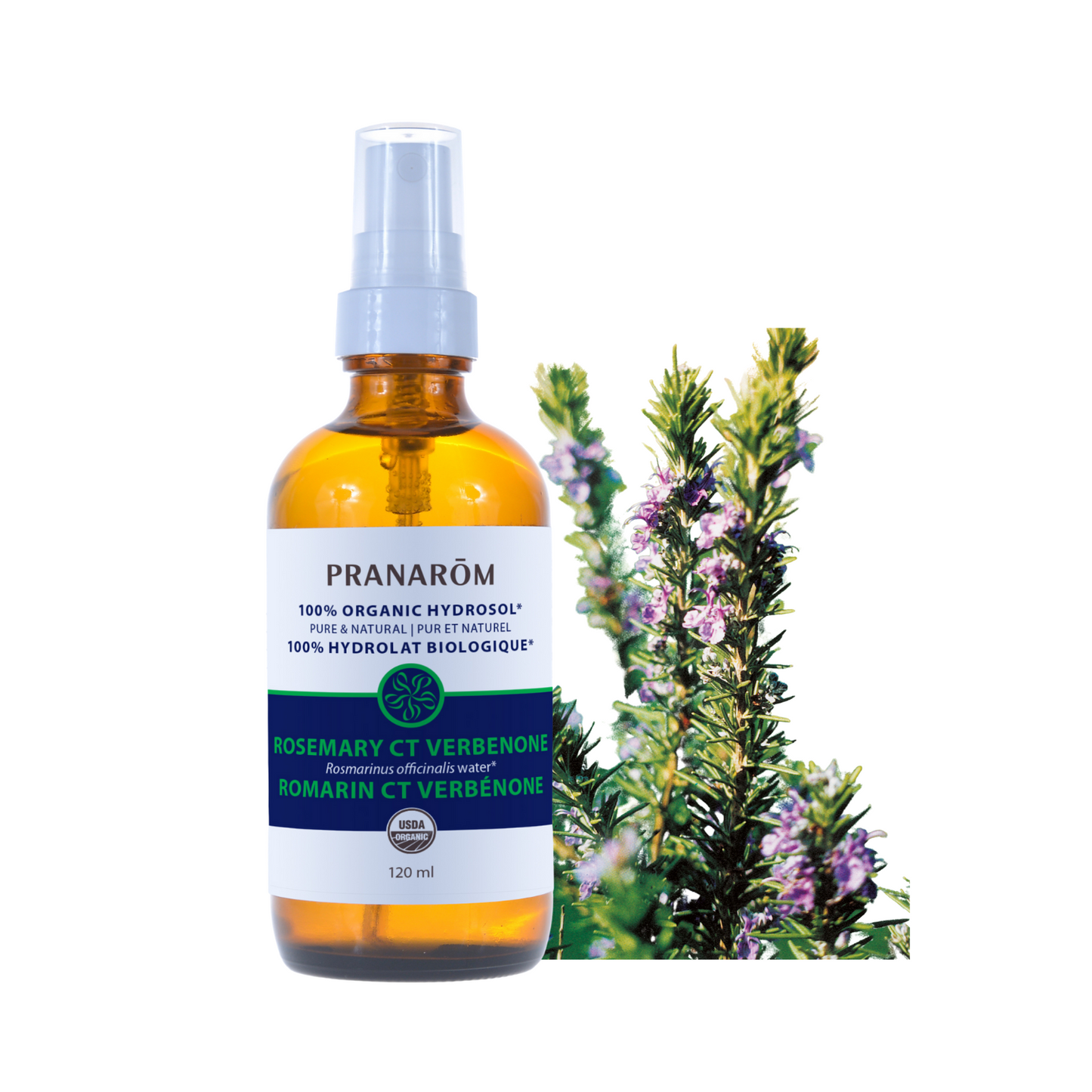 Rosemary Hydrosol Ct Verbenone (120ml)