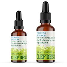 T. Turmeric 100ml (100ml)
