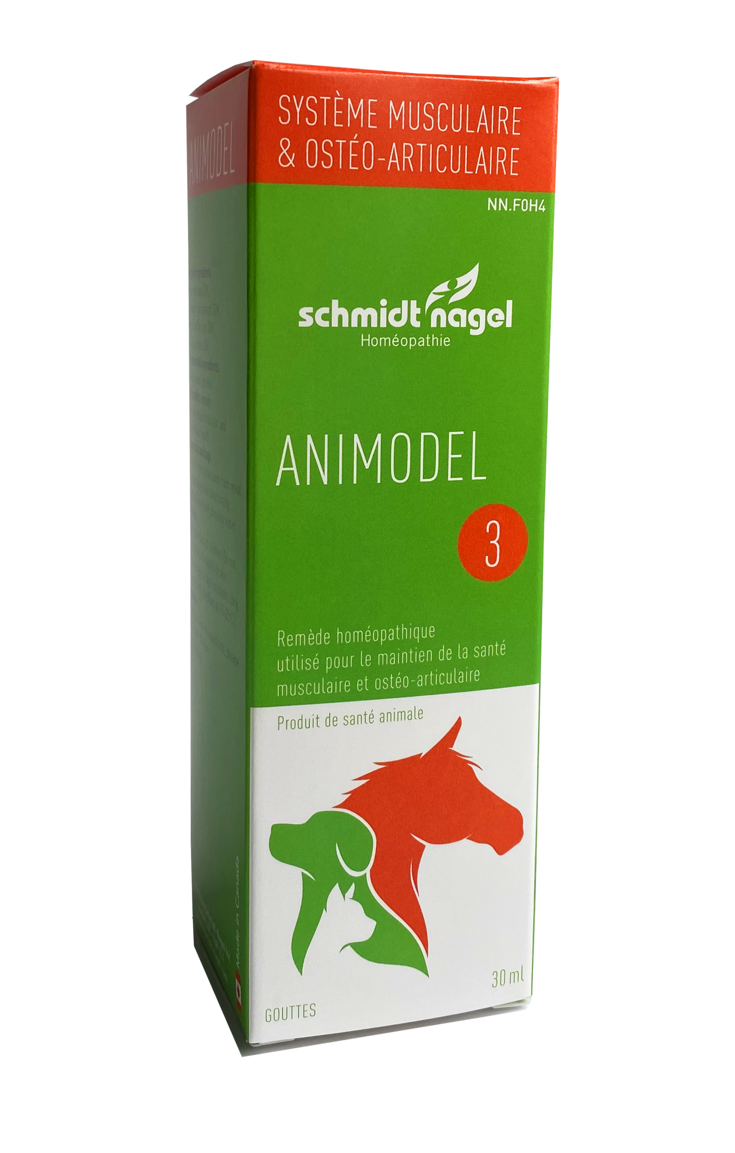 Animodel 3 Osteo Joint (30ml)