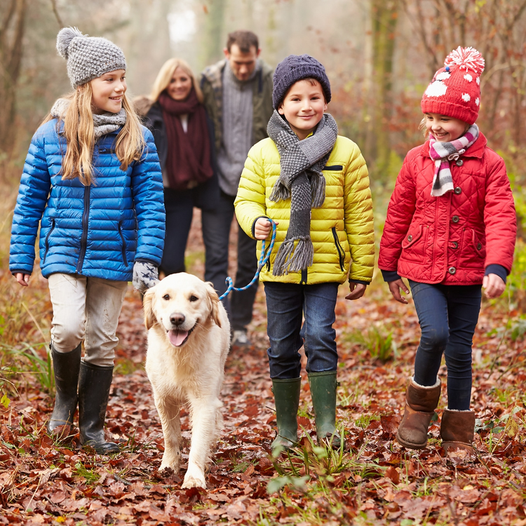 Produits pour animaux