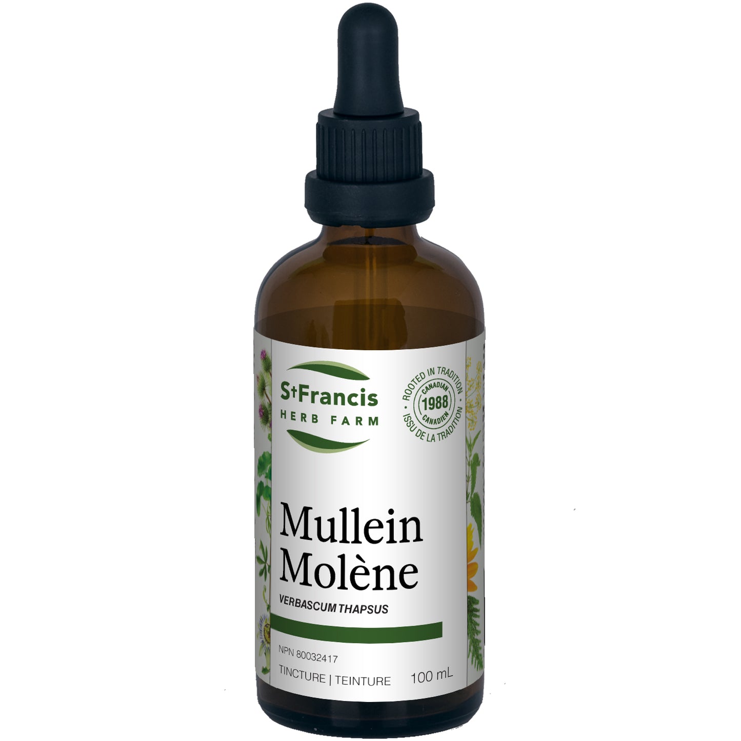 Mullein (100ml)