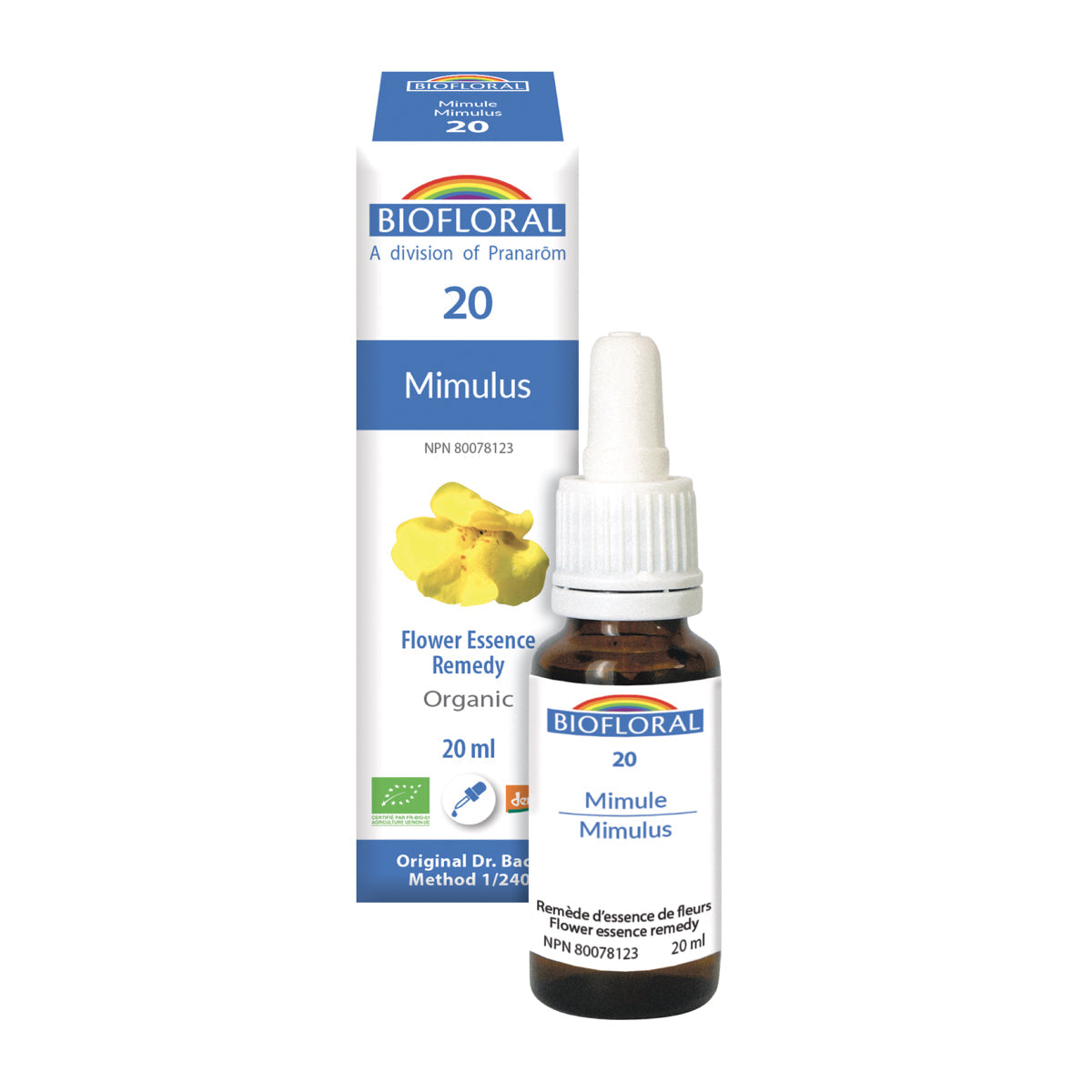 Mimulus (20ml)