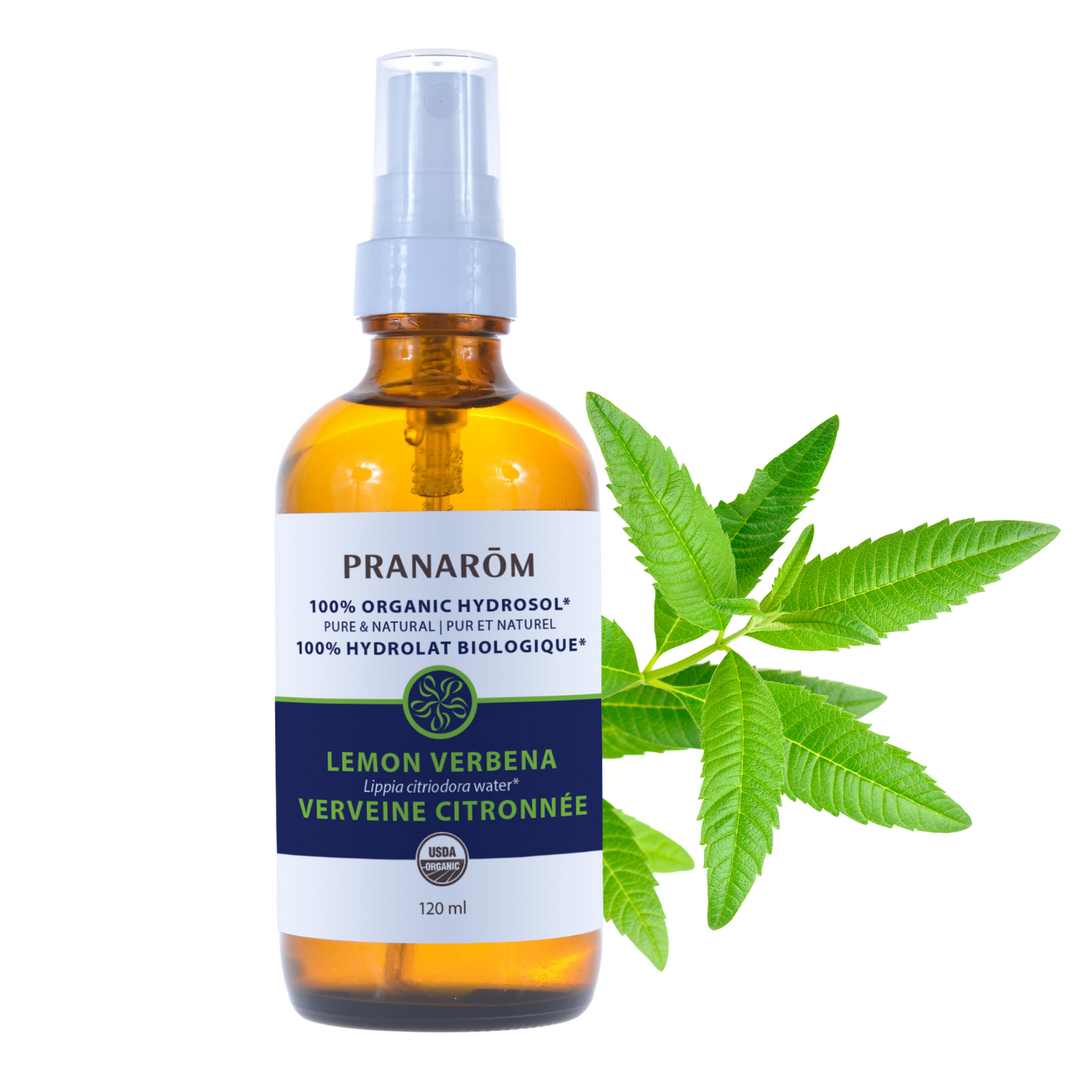 Lemon Verbena Hydrosol (120ml)