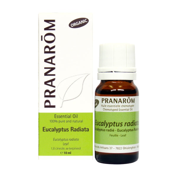 Eucalyptus Radié (10ml)