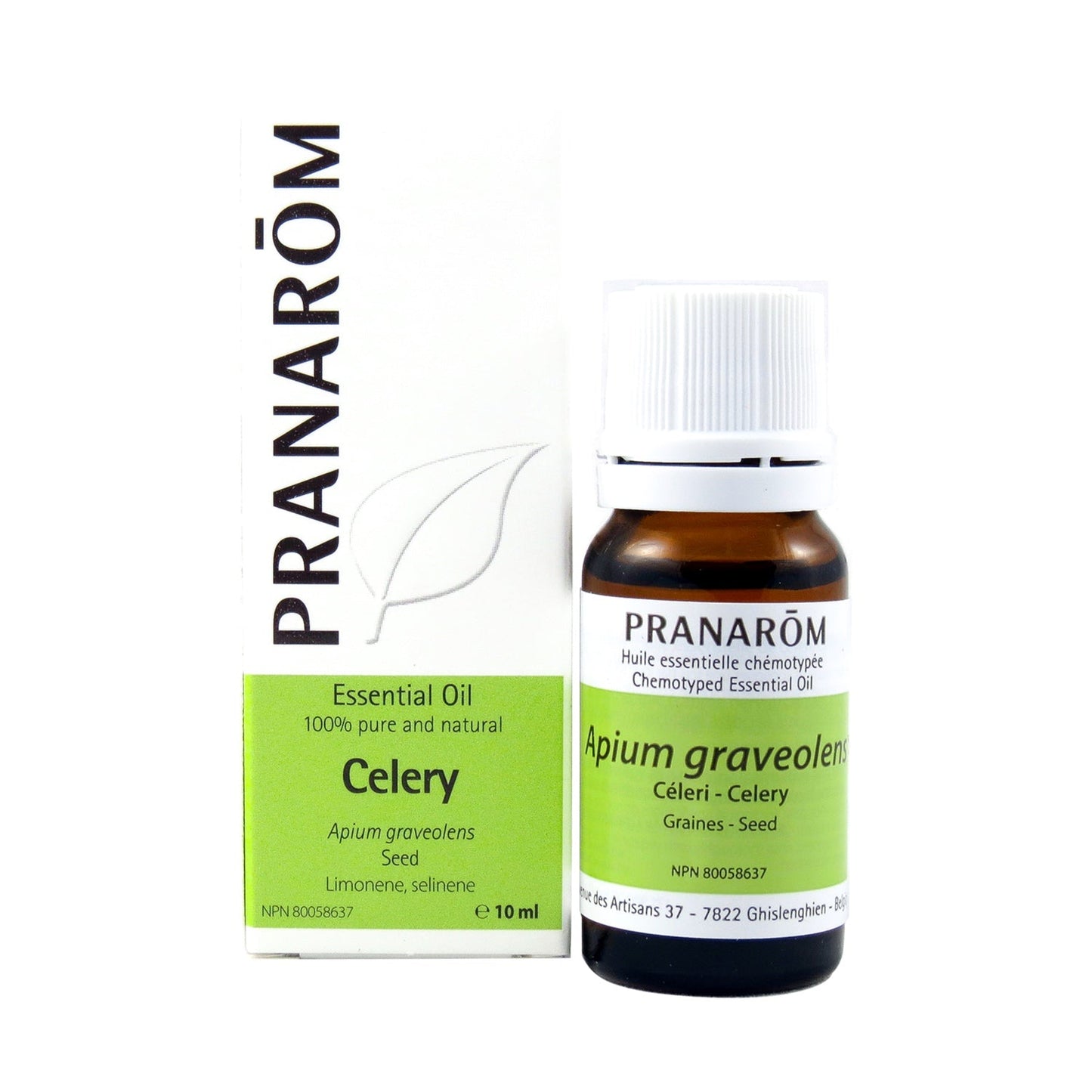 Celery (10ml)