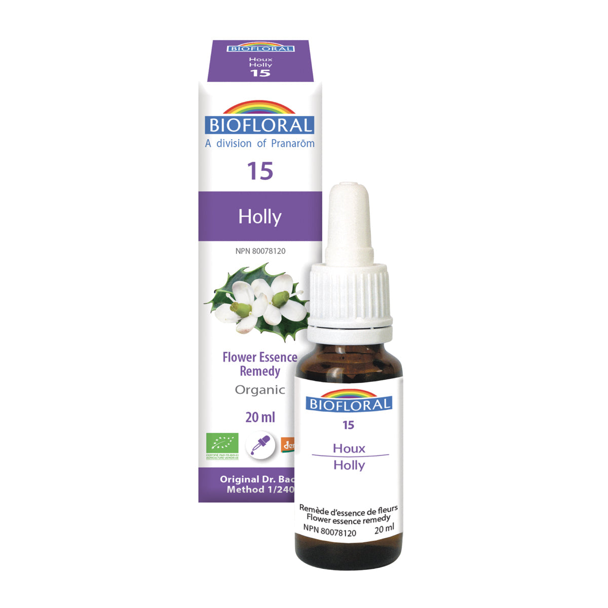 Holly (20ml)