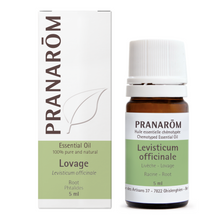 Lovage - Root (5ml)