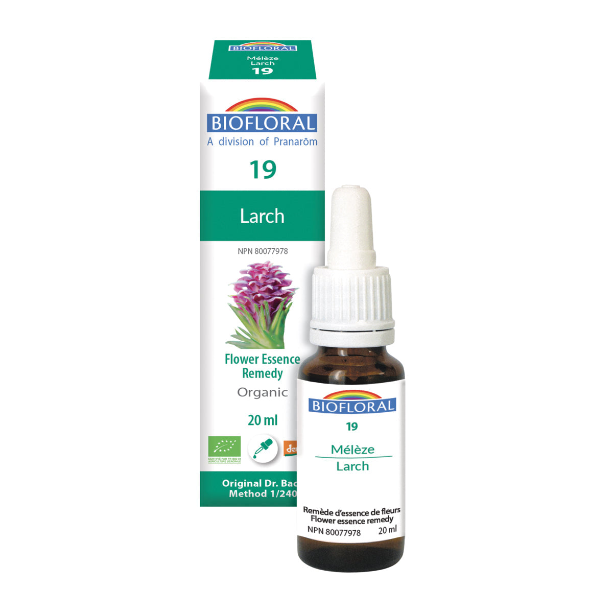 Larch (20ml)