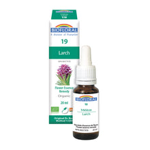 Larch (20ml)