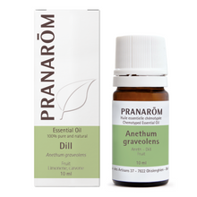Dill - Fruit (10ml)