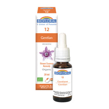 Gentian (20ml)