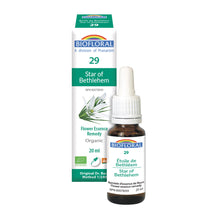 Star of Bethlehem (20ml)