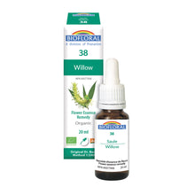 Willow (20ml)