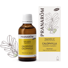 Calophyllum (50ml)