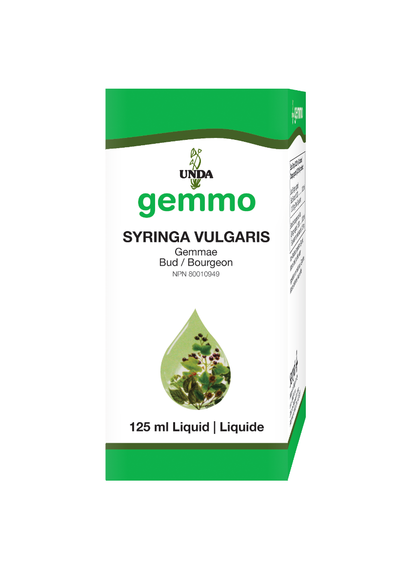 Syringa Vulgaris (4.2 fl oz)