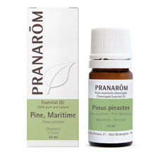 Maritime Pine - Oleoresin (10ml)