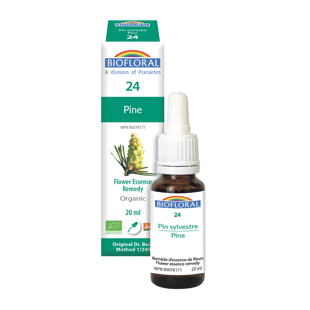Scots Pine (20ml)