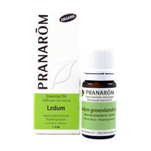 Greenland Ledum (5ml)