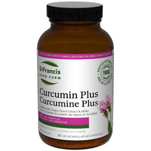 Curcumin Plus Vegecaps (5:1 extract) (90 Caps)