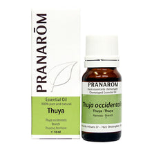 Thuja (10ml)