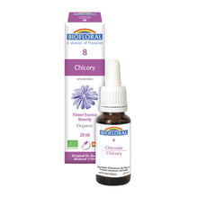Chicory (20ml)