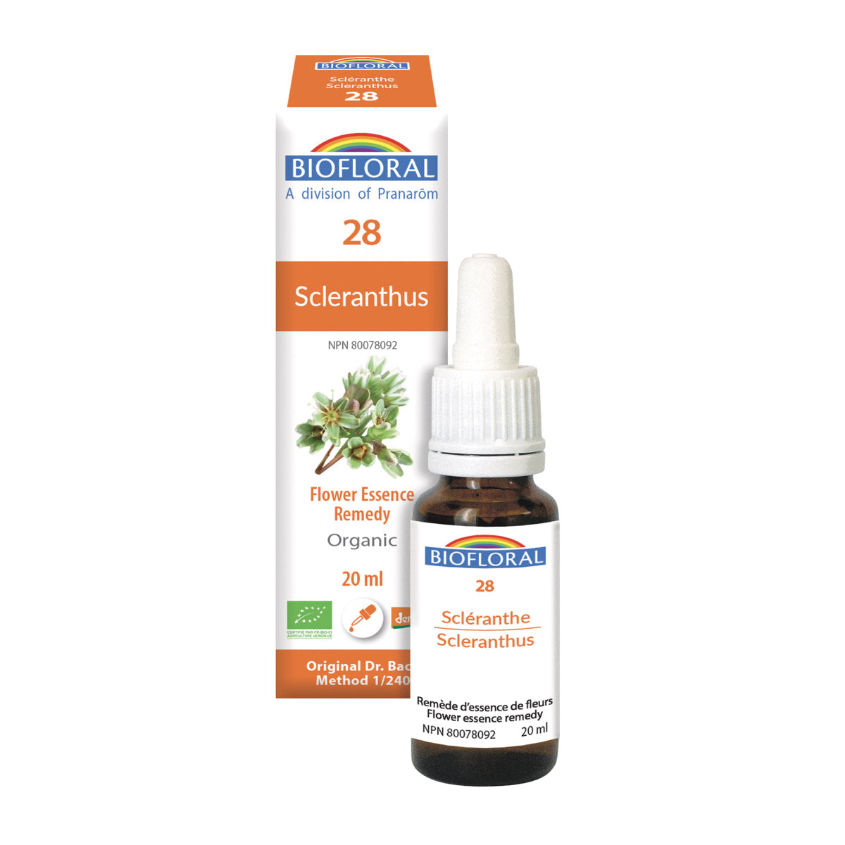 Scleranthus (20ml)