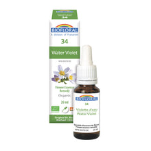 Water Violet (20ml)