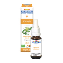 Clematis (20ml)