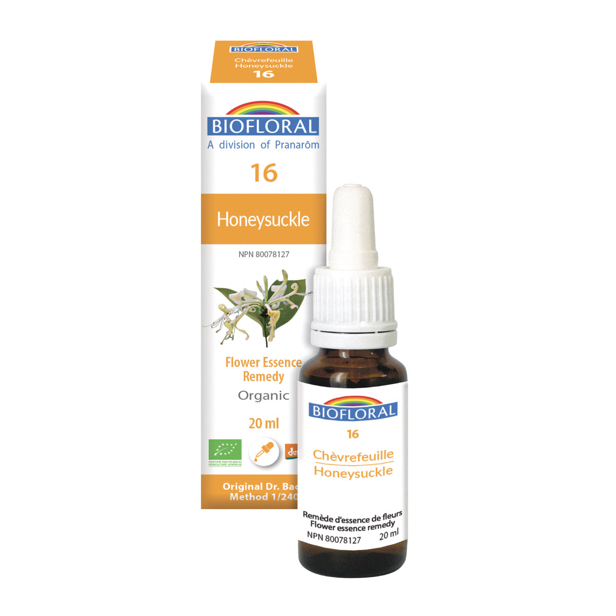 Honeysuckle (20ml)