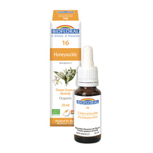 Honeysuckle (20ml)