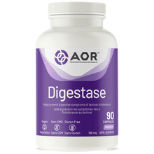 Digestase (90 Capsules)