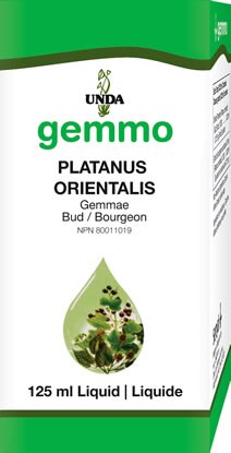 Platanus Orientalis (4.2 fl oz)