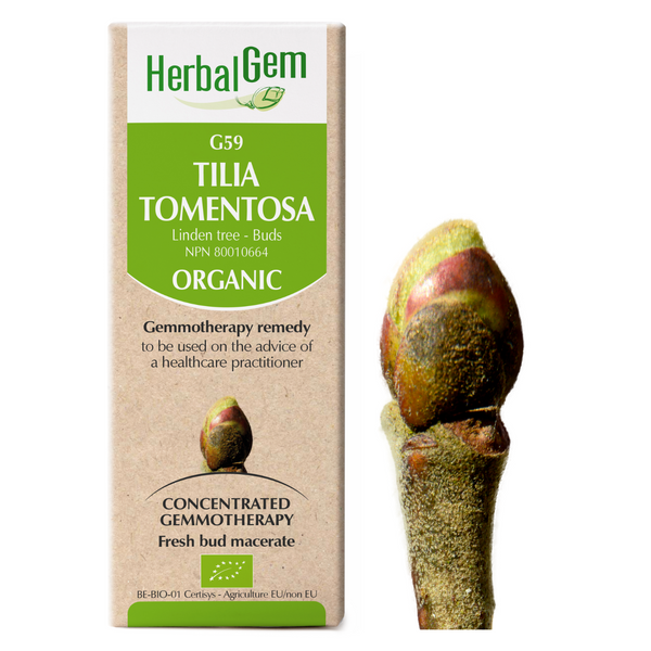 Tilia Tomentosa (50ml)