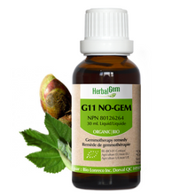 G11 No-gem Vaporisateur (15ml)