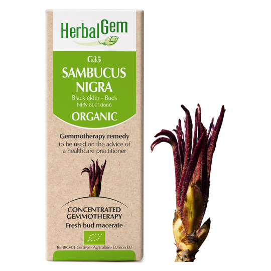 Sambucus Nigra (50ml)