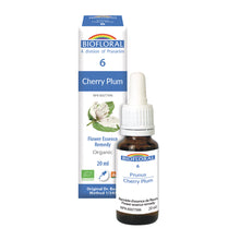 Plum (20ml)