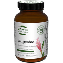 Ginger Vegecaps (5:1 extract) (60 Caps)