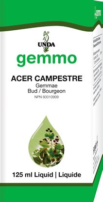 Acer Campestre (125 Ml)