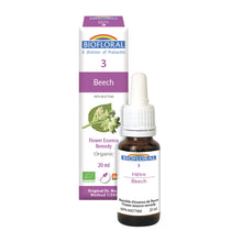 Beech (20ml)