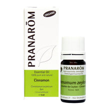 Cinnamon Bark (5ml)