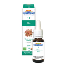 Elm (20ml)