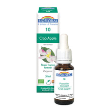 Wild Apple (20ml)