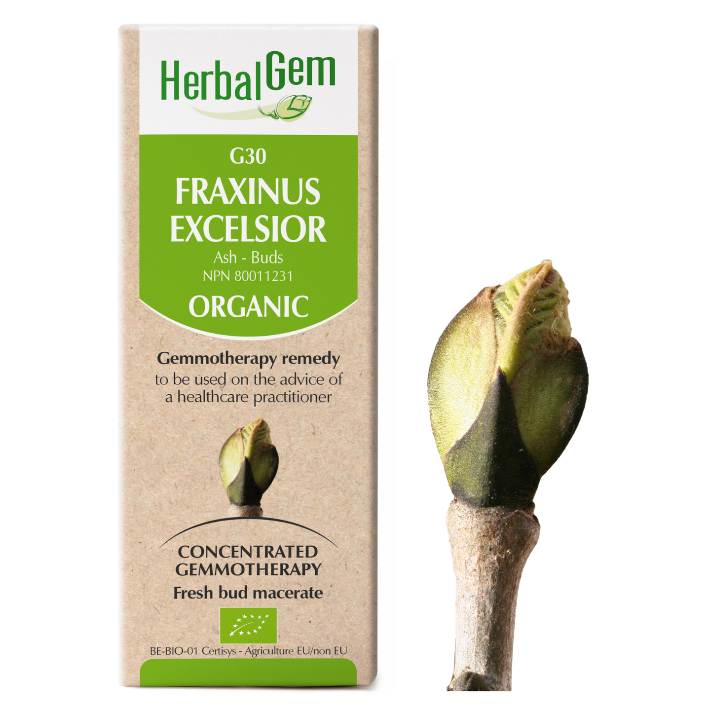 Fraxinus Excelsior (0.5 fl oz)